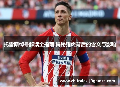 托雷斯绰号解读全指南 揭秘猎鹰背后的含义与影响