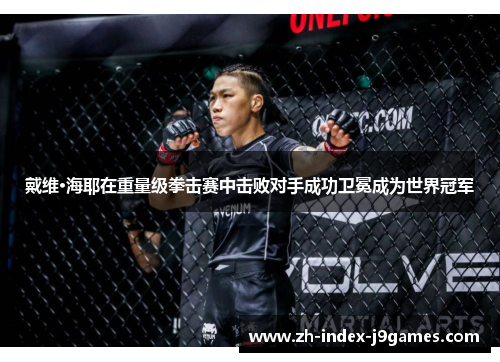 戴维·海耶在重量级拳击赛中击败对手成功卫冕成为世界冠军