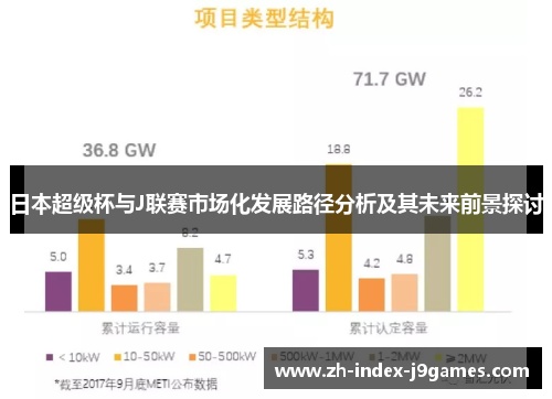 日本超级杯与J联赛市场化发展路径分析及其未来前景探讨