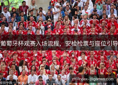 葡萄牙杯观赛入场流程，安检检票与座位引导